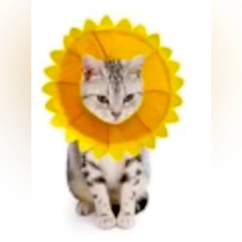 Cat Recovery Collar Pet Cone Collar Soft Protective Cotton Cone
